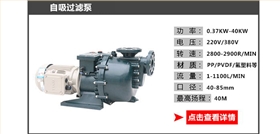 自吸過濾泵 自吸過濾泵